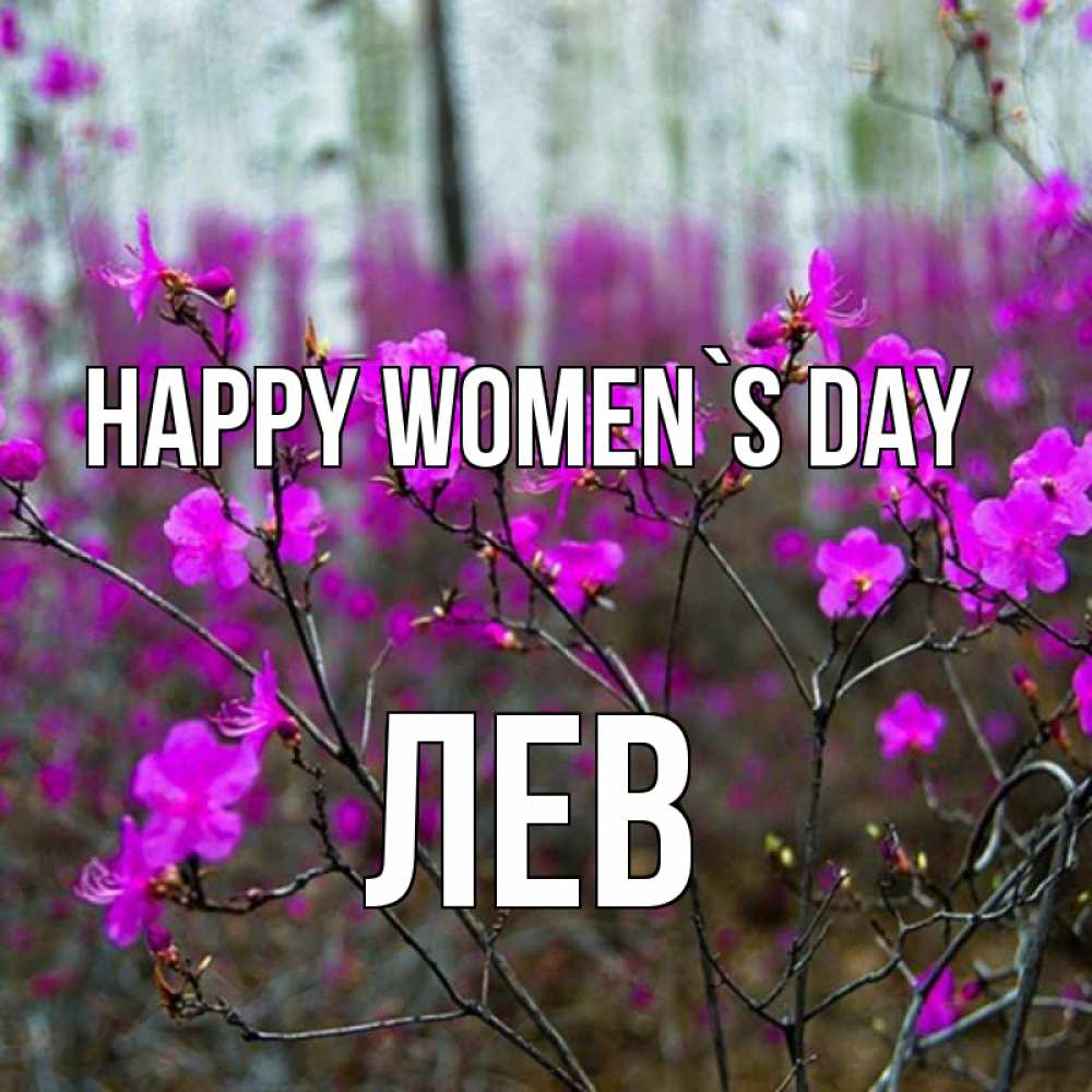 Greetings card с именем, Лев happy women`s day дикие цветы Greetings with text for free download 